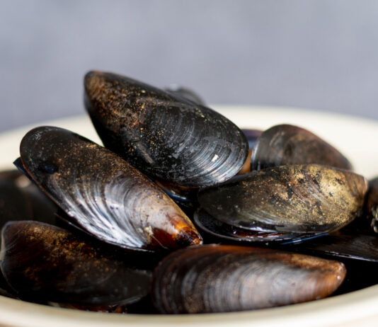 ALERTA: Moluscos contaminados em Florianópolis! Venda suspensa pela Cidasc