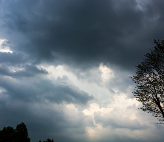 Defesa Civil de Itajaí monitora chuva forte com risco de alagamentos nesta terça-feira
