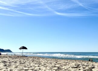 Alta ocupação hoteleira reflete o sucesso do Carnaval 2025 em Itajaí e impulsiona turismo local