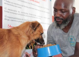 Navegantes lança banco de ração e acessórios para apoiar animais resgatados