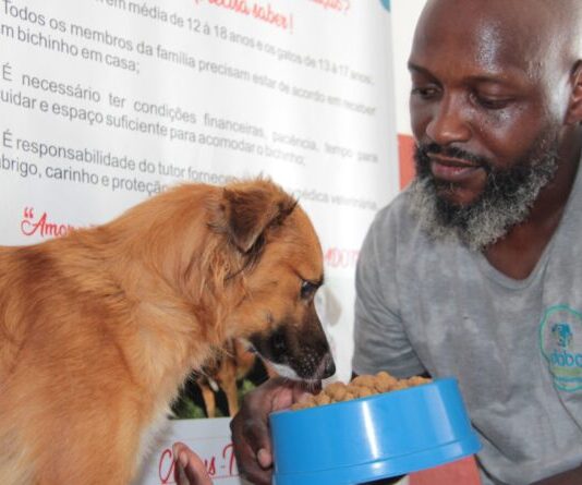 Navegantes lança banco de ração e acessórios para apoiar animais resgatados