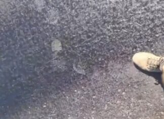 Calor intenso em Santa Catarina: Asfalto derrete e choca moradores; veja o vídeo