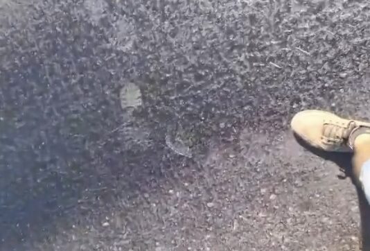 Calor intenso em Santa Catarina: Asfalto derrete e choca moradores; veja o vídeo