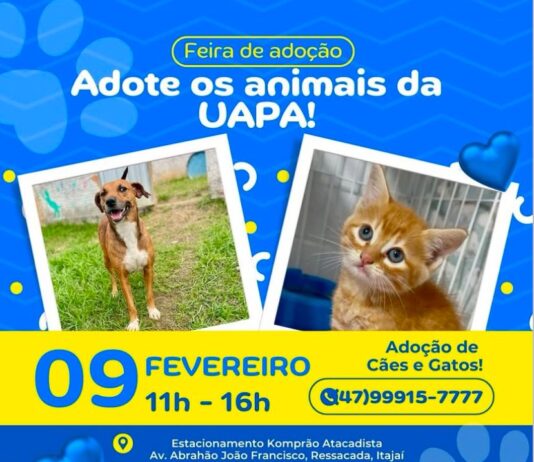 Feira de Adoção de Animais acontece neste domingo em Itajaí