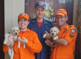 CBMSC, referência nacional em cães de busca e resgate, oferece apoio à corporação da Paraíba