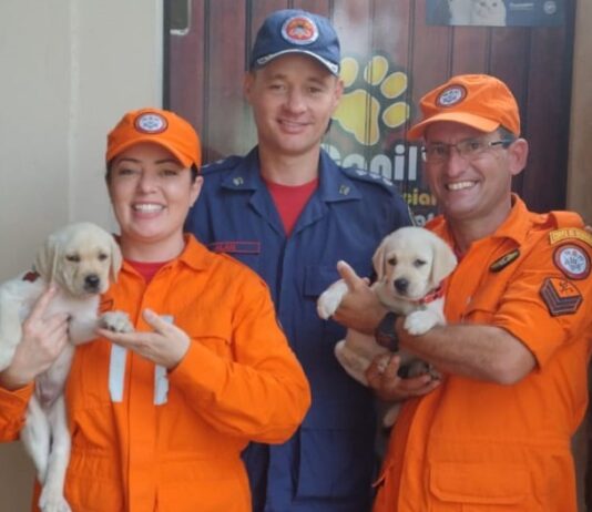 CBMSC, referência nacional em cães de busca e resgate, oferece apoio à corporação da Paraíba