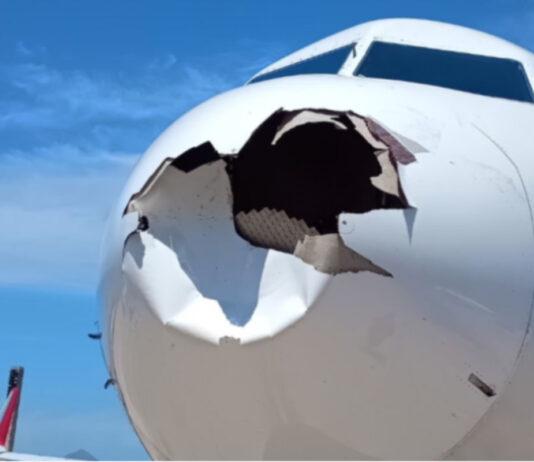 Avião da Latam retorna ao galeão após colisão com pássaro e cancelamento de voo