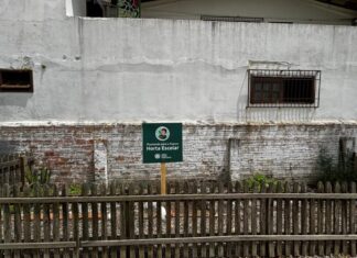 De Santa Catarina para o Brasil: Programa que transforma jovens acolhidos chega a 5 estados