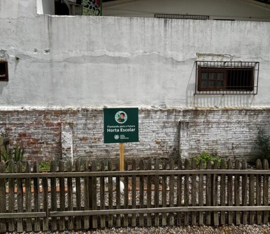 De Santa Catarina para o Brasil: Programa que transforma jovens acolhidos chega a 5 estados