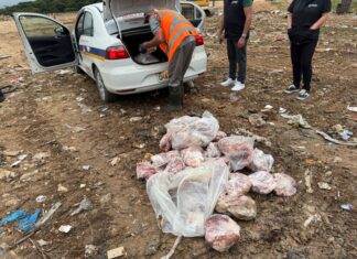 Vigilância Sanitária de Itajaí apreende 150 kg de alimentos impróprios