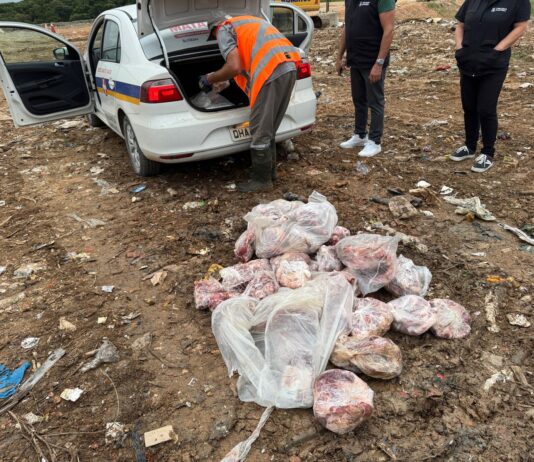 Vigilância Sanitária de Itajaí apreende 150 kg de alimentos impróprios