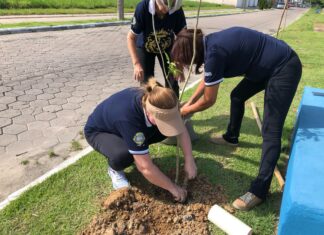 Parceria entre INIS e Lions Clubes já plantou mais de 60 árvores nativas no Santa Regina em Itajaí