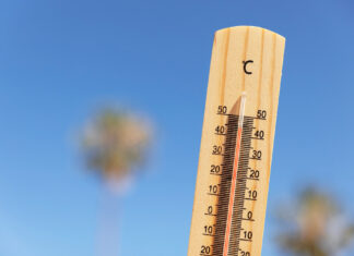 Defesa Civil alerta para onda de calor em SC, com temperaturas acima de 40°C