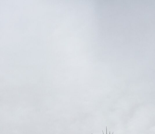 Frentes frias trazem o primeiro pico de frio de 2025; veja quando