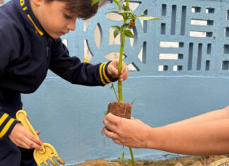 CEI Elizabeth Malburg de Itajaí promove projeto para reduzir tempo de tela entre crianças