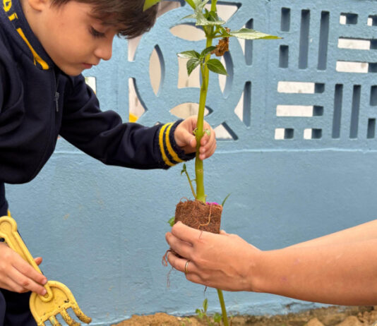 CEI Elizabeth Malburg de Itajaí promove projeto para reduzir tempo de tela entre crianças