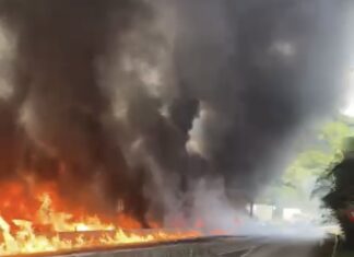 Tragédia na BR-101: o que se sabe sobre o incêndio envolvendo mais de 25 veículos