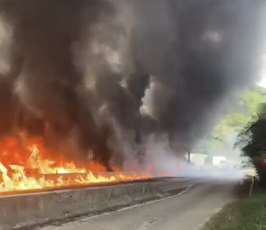 Tragédia na BR-101: o que se sabe sobre o incêndio envolvendo mais de 25 veículos