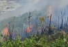 Incêndio em área costeira de Itajaí será investigado pela Marinha do Brasil