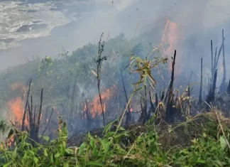 Incêndio em área costeira de Itajaí será investigado pela Marinha do Brasil