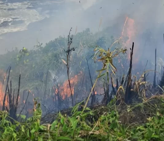 Incêndio em área costeira de Itajaí será investigado pela Marinha do Brasil