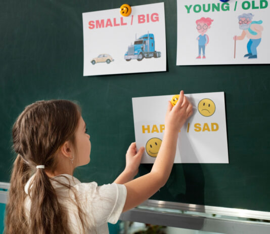 Aulas de inglês chegam a todos os alunos dos anos iniciais da rede pública estadual em SC