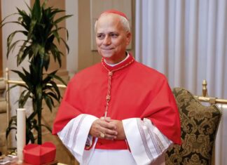 Habemus Papam: Pela primeira vez um norte-americano é eleito papa, Papa Leão XIV