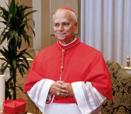 Habemus Papam: Pela primeira vez um norte-americano é eleito papa, Papa Leão XIV