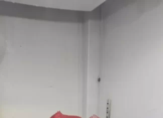 Fiscalização fecha mais três restaurantes em Itajaí por condições sanitárias precárias