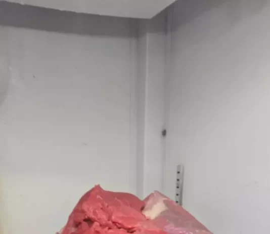 Fiscalização fecha mais três restaurantes em Itajaí por condições sanitárias precárias