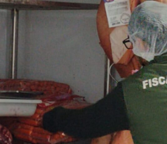 Mais de 600 kg de carne imprópria são apreendidos em operação em Itapema