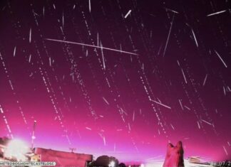 Céu de SC é iluminado por espetáculo de 800 meteoros