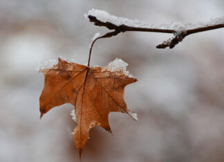 Alerta climático: La Niña pode mudar o tempo no Brasil