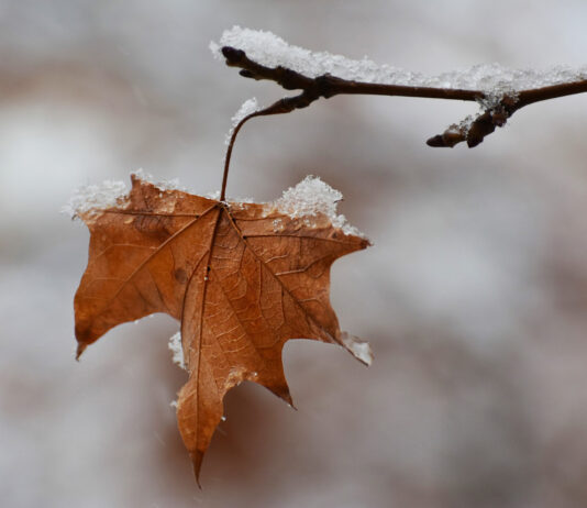 Alerta climático: La Niña pode mudar o tempo no Brasil