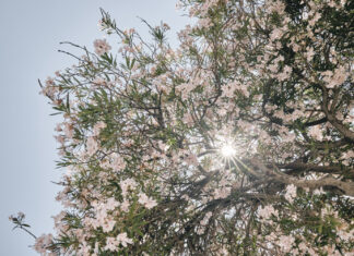 Primavera começa com frente fria e queda de temperaturas em Itajaí