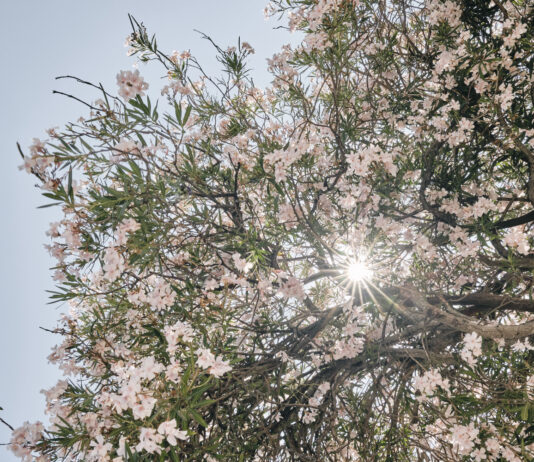 Primavera começa com frente fria e queda de temperaturas em Itajaí