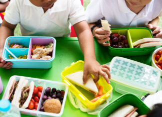 Escolas estaduais de Santa Catarina reforçaram alimentação saudável no Dia Nacional da Alimentação Escolar