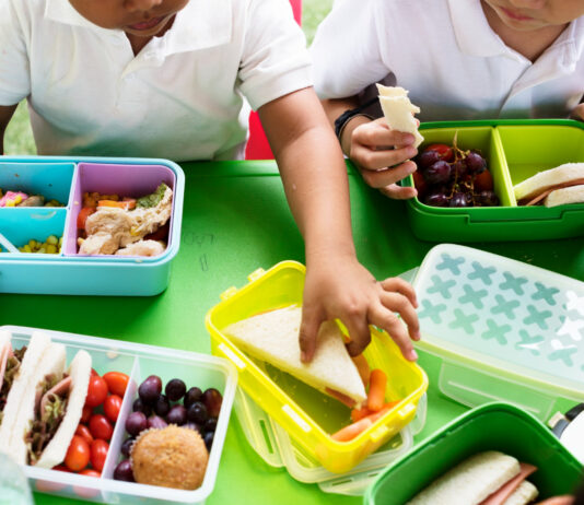 Escolas estaduais de Santa Catarina reforçaram alimentação saudável no Dia Nacional da Alimentação Escolar