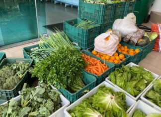 Santa Catarina lidera ranking nacional de Segurança Alimentar com 90,6% dos domicílios em condição segura