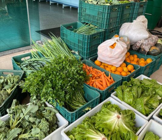 Santa Catarina lidera ranking nacional de Segurança Alimentar com 90,6% dos domicílios em condição segura