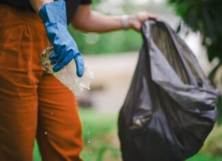 Santa Catarina intensifica ações de prevenção à dengue com mobilização nas escolas