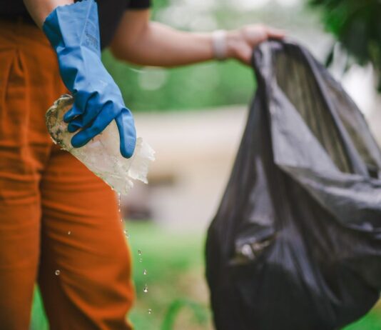Santa Catarina intensifica ações de prevenção à dengue com mobilização nas escolas