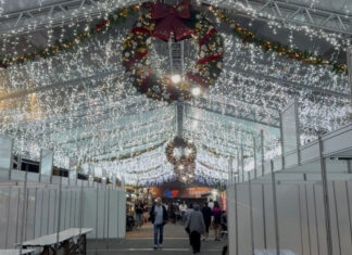 Itajaí celebra o Dia do Samba com shows, desfile e festa no final de semana