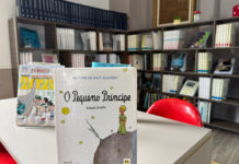 Biblioteca Pública Norberto Cândido Silveira Júnior amplia ações de acessibilidade e inclusão