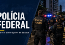 Receita Federal apreende 300 mil maços de cigarros do Paraguai em Itajaí.