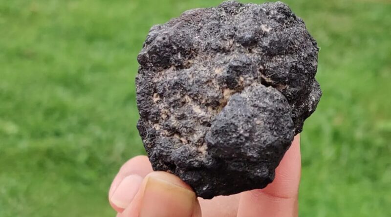 Brasil encontra novos indícios de minerais críticos no fundo do Atlântico