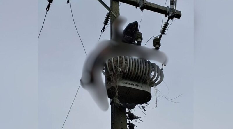 Homem sobe em transformador de energia elétrica, morre eletrocutado e fica pendurado em poste em SC