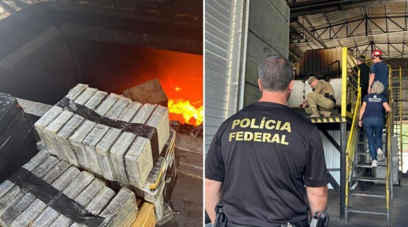 Polícias Federal e Militar queimam mais de 5,3 toneladas de drogas em ação conjunta em SC